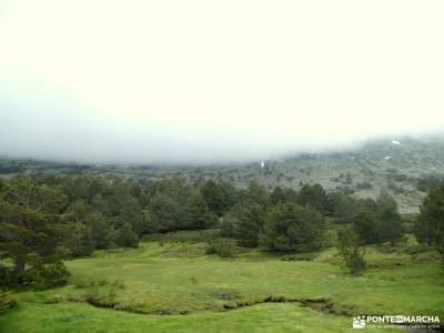 Senderos con historia: De la Pradera de Navalhorno al Chozo Arangüez: senderos en la palma senderism